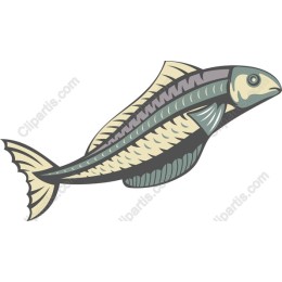 Vibrant Marine Life Fish