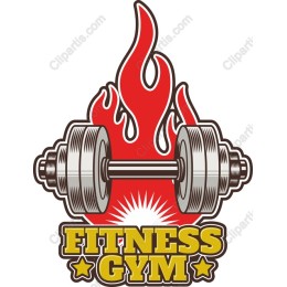Dynamic Fitness Gym Barbell