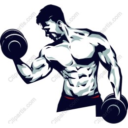 Dynamic Weightlifting