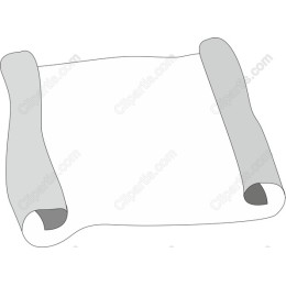 Elegant Scroll