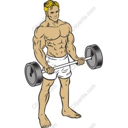 Dynamic Muscular Weightlifter