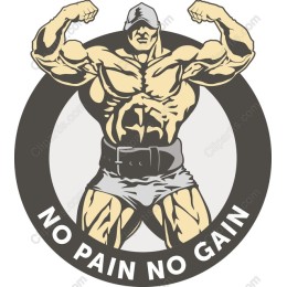 No Pain No Gain Fitness