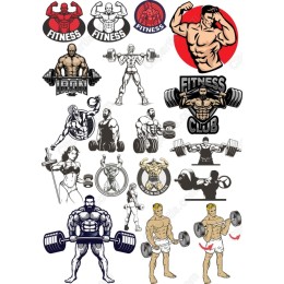 Fitness Collection: Bundle
