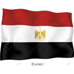 Egyptian Flag and