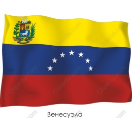 Venezuelan Flag