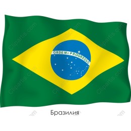 Brazilian Flag