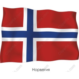 Norwegian Flag