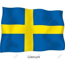 Swedish Flag