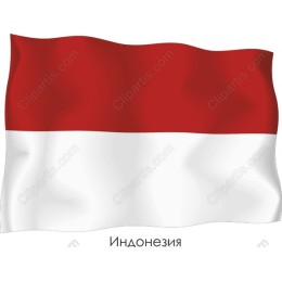 Indonesian Flag