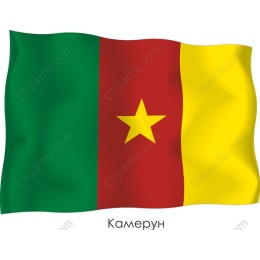 Cameroon Flag