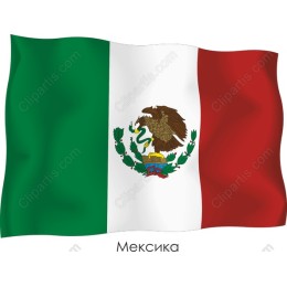 Mexican Flag