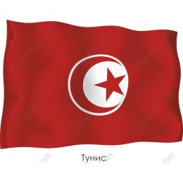 Tunisian Flag