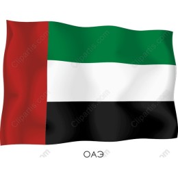 United Arab Emirates Flag