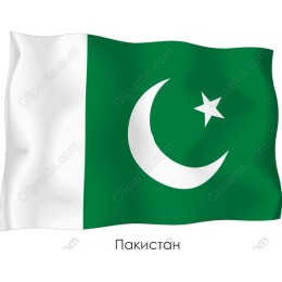 Pakistan Flag