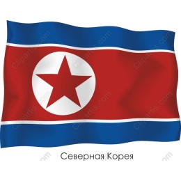 Premium North Korean Flag
