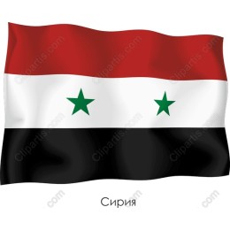 Vibrant Syrian Flag