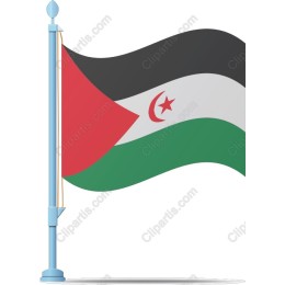 the [Region] Flag