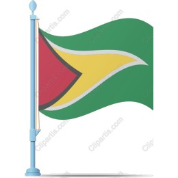 Guyanese Flag