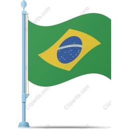 Brazilian Flag