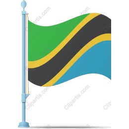 Tanzanian Flag