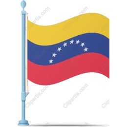 Vibrant Venezuelan Flag