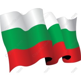 Vibrant Bulgarian Flag