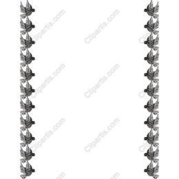 Butterfly Border
