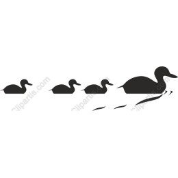 Duck Family