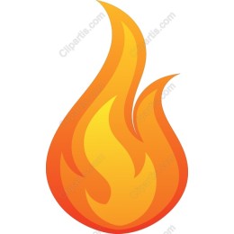 Vibrant Flame