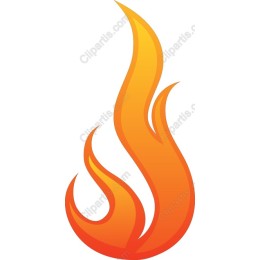 Vibrant Flame