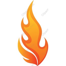 Vibrant Flame