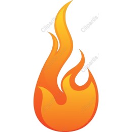 Vibrant Flame