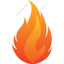 Vibrant Flame