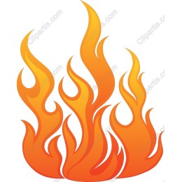 Vibrant Flame