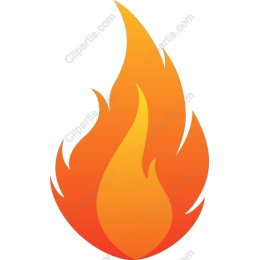 Vibrant Flame