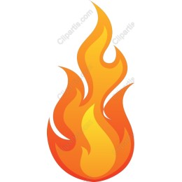 Vibrant Flame