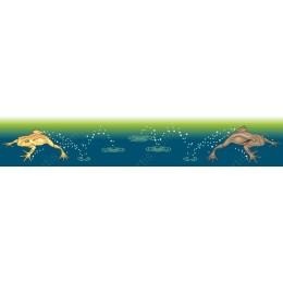 Vibrant Frog Splash