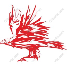 Dynamic Red Hawk