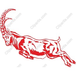 Dynamic Red Ibex