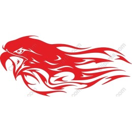 Dynamic Red Hawk