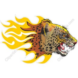 Fierce Leopard Head