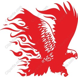 Majestic Red Eagle