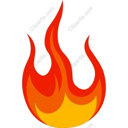 Vibrant Flame