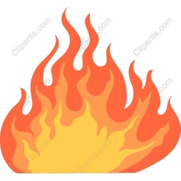 Vibrant Flame