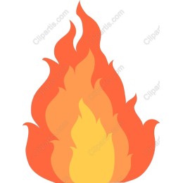 Vibrant Flame
