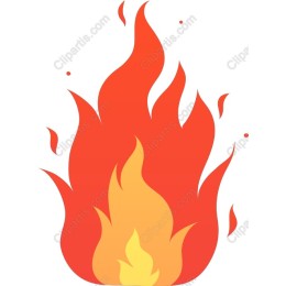 Vibrant Flame