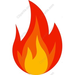 Vibrant Flame