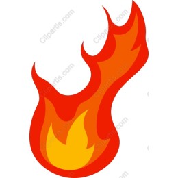 Vibrant Flame
