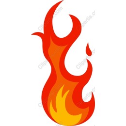 Vibrant Flame