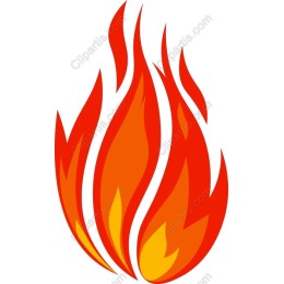 Vibrant Flame